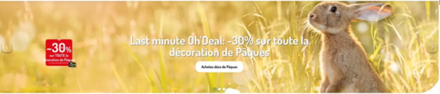 Catalogue Oh'Green à Anvers | Oferta-FR | 2026-04-03T00:00:00.000Z - 2026-05-03T00:00:00.000Z