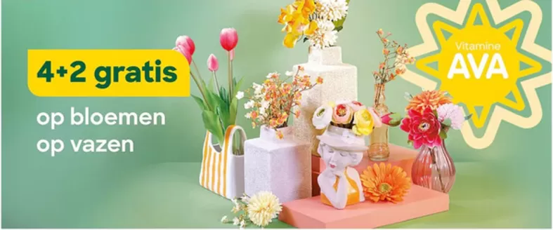 Catalogue AVA à Charleroi | Oferta-NL | 2026-04-10T00:00:00.000Z - 2026-05-10T00:00:00.000Z