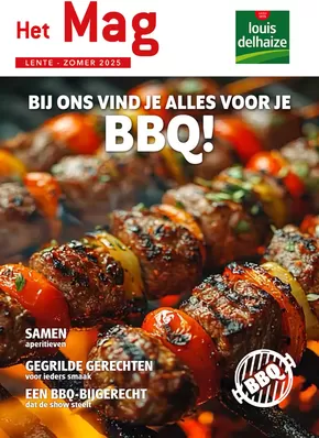 Catalogue Louis Delhaize à La Louvière | BBQ | 2025-05-06T00:00:00.000Z - 2025-08-31T00:00:00.000Z
