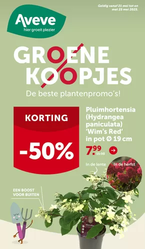 Catalogue AVEVE à Chimay | Groene Koopjes | 2025-05-21T00:00:00.000Z - 2025-05-25T00:00:00.000Z