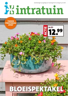 Catalogue Intratuin à Aarschot | Bloeispektakel | 2025-06-09T00:00:00.000Z - 2025-06-15T00:00:00.000Z