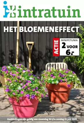 Catalogue Intratuin à Olen | Het Bloemeneffect | 2025-06-16T00:00:00.000Z - 2025-06-22T00:00:00.000Z